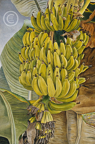 Lucian freud "Bananas" 1953 Oil on canvas 23cmx15cm