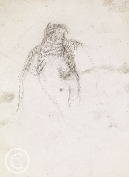 Lucian Freud 'Bird of Prey' c1982 Pencil on Paper 40cmx30cm