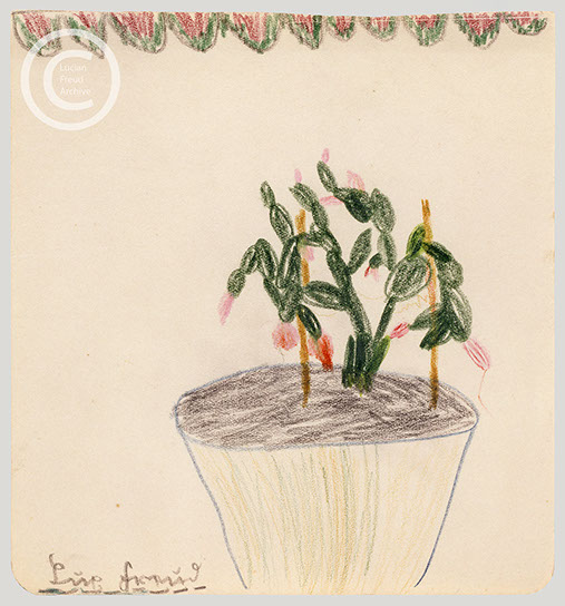 Lucian Freud 'Cactus' c1930 Crayon on paper 14.5cmx14cm