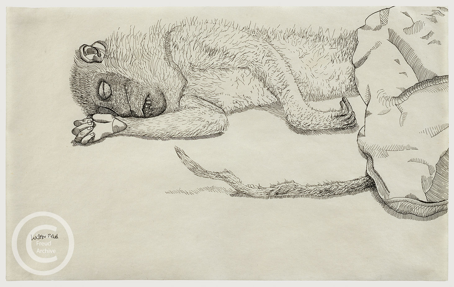 Lucian freud research paper image