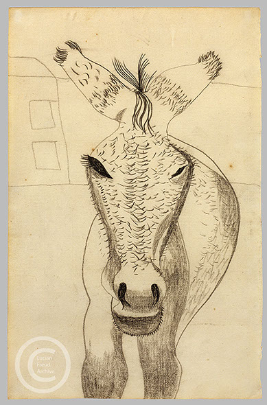 Lucian Freud 'Donkey (Tommy)' c1942-1943 Crayon on Paper 37cmx23.8cm