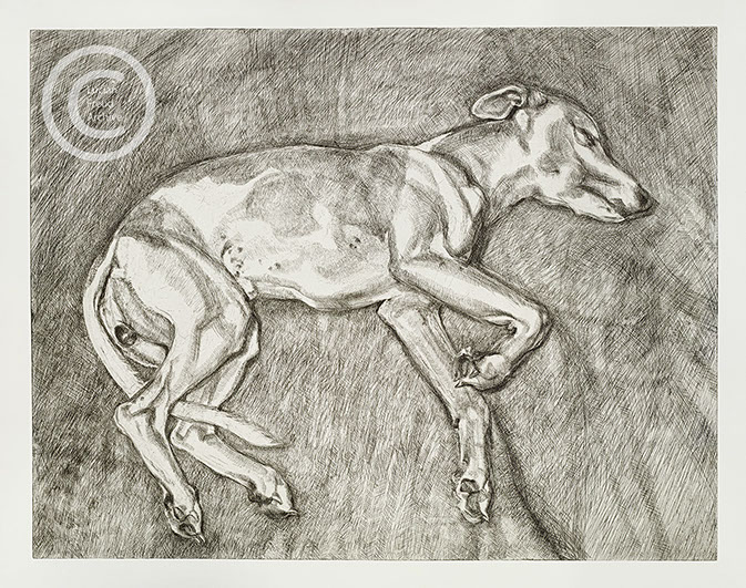 Lucian Freud "Eli" 2002 Etching (ed of 46) 66cmx84.5cm