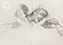 Lucian Freud 'Emily' c2000 Charcoal on paper 41cm x 54cm