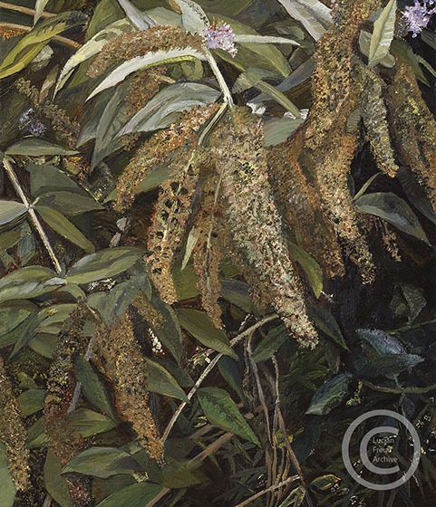 "Garden from the Window" 2002 Oil on Canvas 71.1cmx30.9cm