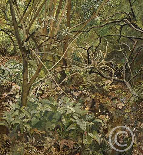 "Garden Painting" 1994 Oil on Canvas 76.2cmx71cm