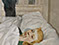 Lucian Freud "Hotel Bedroom" 1954 Oil on Canvas 91cmx61cm