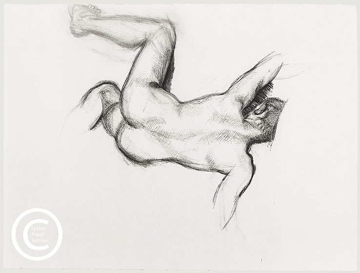 Lucian Freud 'Naked Man on a Sofa' 1989 Charcoal on Paper 56.8cmx75.9cm