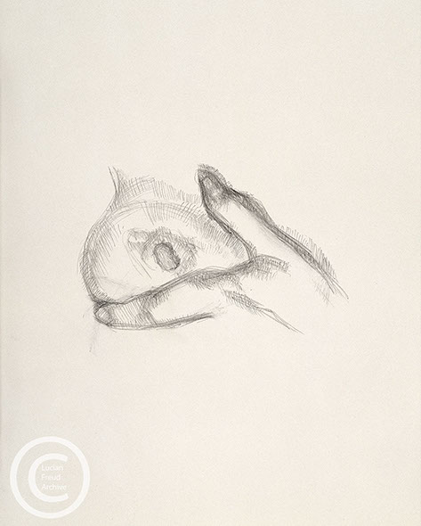 Lucian Freud 'Nipple' 2001 Pencil on Paper 27cmx21.6cm