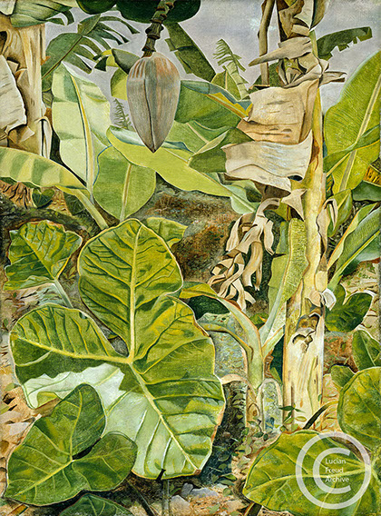 Lucian Freud "Plants in Jamaica" 1953 Oil on Canvas 22.8cm x 15cm