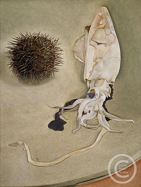 Lucian Freud "Still-life with Squid and Sea Urchin"  1949  Oil on Copper  30cm x 23cm 