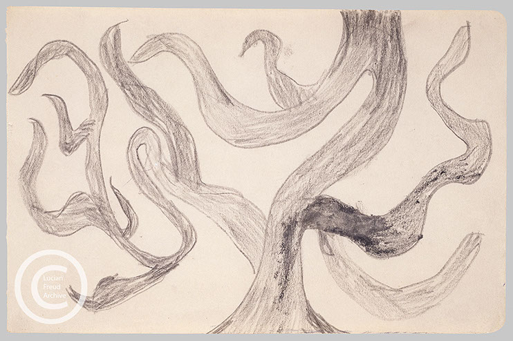 Lucian Freud 'Tree (2)' c1928 Crayon on paper 14cmx21.6cm
