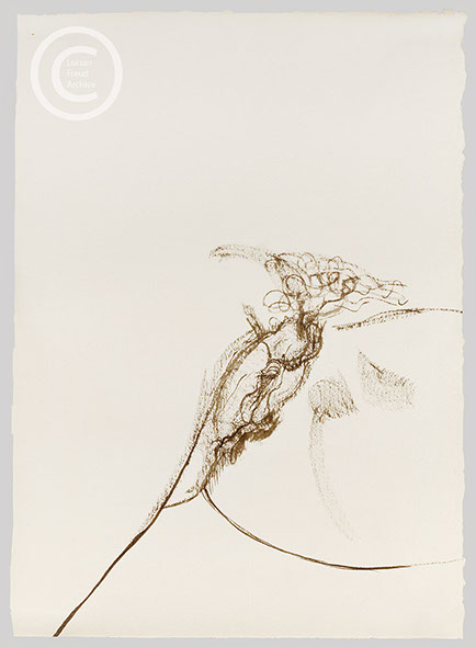 Lucian Freud 'Two Fragments (l)' 1977 Ink on Paper 33.7cmx24.7cm