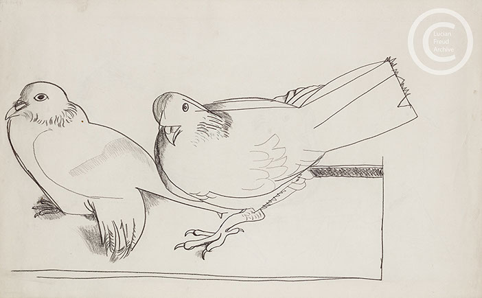 Lucian Freud 'Two Pigeons' 1947 Crayon on Paper 37cmx57.2cm